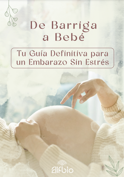 Guía Etapas Clave